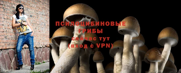 дурь Покачи