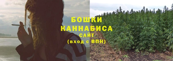дурь Покачи